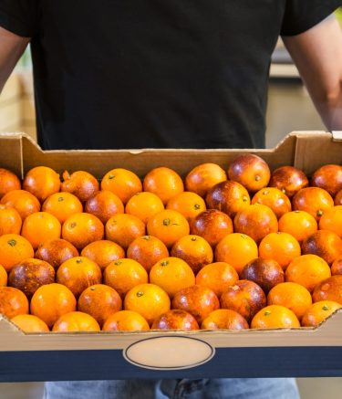 Smiling customers buying sicilian oranges, lemons and tangerines in grocery section
