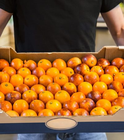 Smiling customers buying sicilian oranges, lemons and tangerines in grocery section
