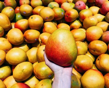 Fresh big mangoes Fresh big mangoes