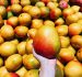 Mango de Perú en su hora más dulce: podría llegar a Indonesia y Malasia en el 2025